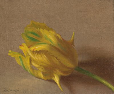  alkotó: George Henry Hall