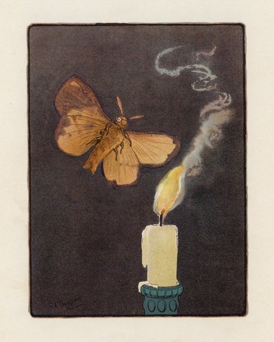The Moth (színes litográfia) alkotó: George Henry Thompson
