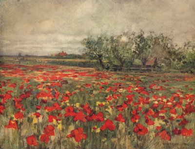 A pipacstábla, c1900, c1915 alkotó: George Hitchcock