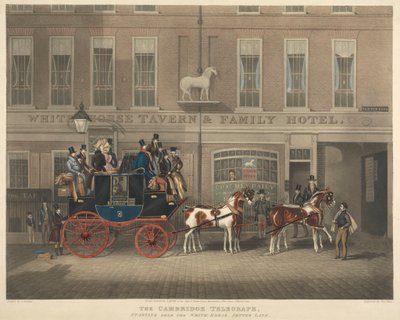 Edzés: A Cambridge Telegraph, a fehér lótól kezdve alkotó: George Hunt