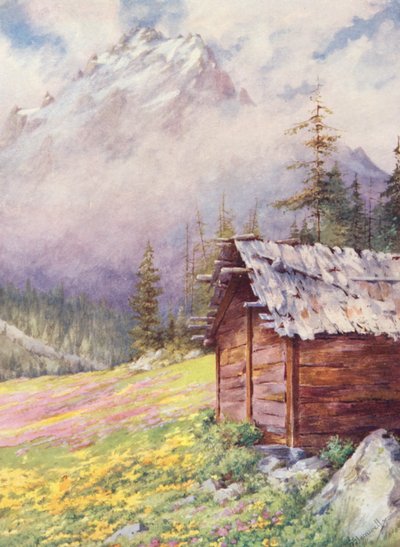 Caltha palustris és Primula farinosa Champex felső mezőin május vége felé (színes litho) alkotó: George Jackson Flemwell