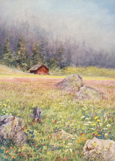 Július elején a champexi mezőkön (színes litográfia) alkotó: George Jackson Flemwell