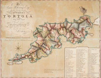 Tortola terve George King felmérése alapján alkotó: George King