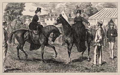 Miért veszítették el a Pifflerek visszatérő meccsüket, 1865. alkotó: George Louis Palmella Busson Du Maurier
