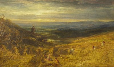 A Surrey Cornfield, 1877 körül (olaj, vászon) alkotó: George Lucas