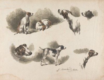 Állatok - Egy vadászkutya hét tanulmánya egy lapon. „Jno. Harris” a vadászkutya nyakörvén bal alsó részen alkotó: George Morland