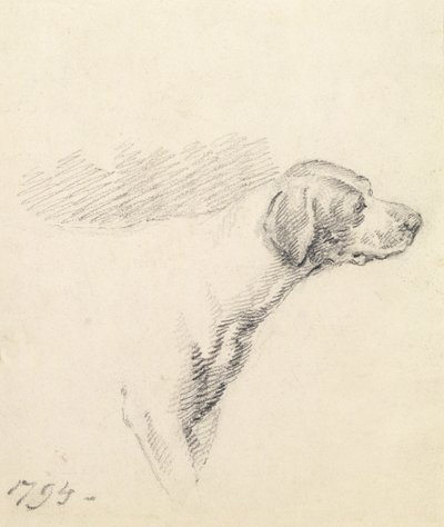 Tanulmány egy kopóról, 1794 alkotó: George Morland