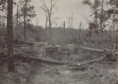 Battlefield of New Hope Church, Georgia, 2. szám, 1865-1866. alkotó: George N. Barnard
