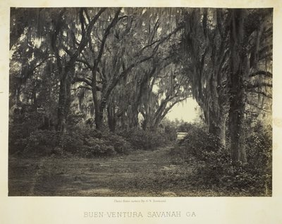 Buen-Ventura Savannah, Ga. alkotó: George N. Barnard