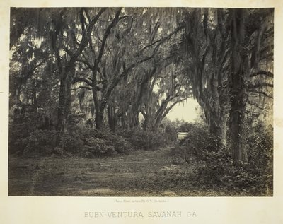 Buen-Ventura Savannah, Ga., 1866. alkotó: George N. Barnard