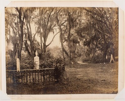 Buen-Ventura, Savannah, Georgia alkotó: George N. Barnard