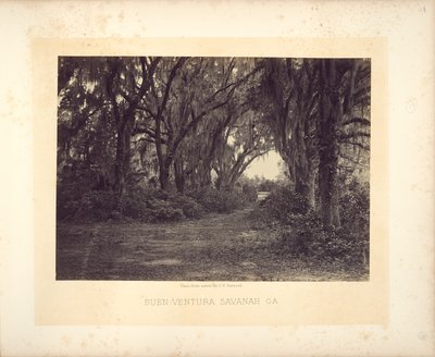 Buen-Ventura, Savannah, Georgia alkotó: George N. Barnard