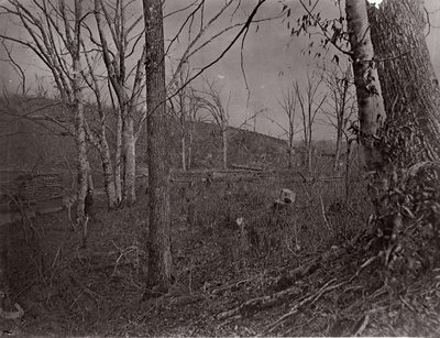 Bull Run, Virginia, 1861-62. alkotó: George N. Barnard