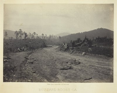 Buzzard Roost, GA alkotó: George N. Barnard