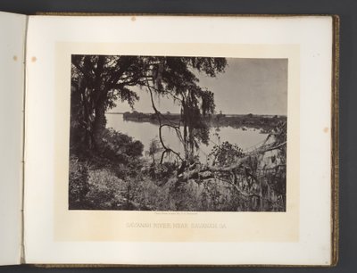 Savannah folyó, Savannah közelében, Georgia alkotó: George N. Barnard