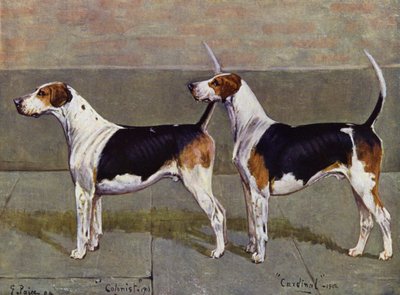 A Puckeridge Foxhounds gyarmatosító és bíboros alkotó: George Paice