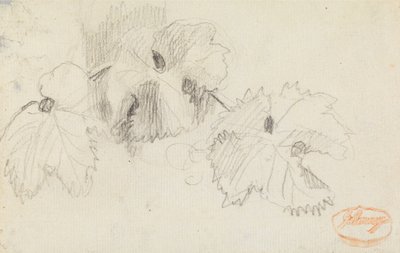 A levelek vizsgálata 1 alkotó: George Romney