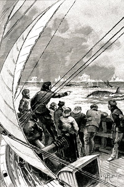 Tengeren a sark felé: egy hajó (vitorlás) legénysége bálnacsoportot lát. Illusztráció Jules Verne (1828-1905) „A jégszfinx” című regényéből alkotó: George Roux
