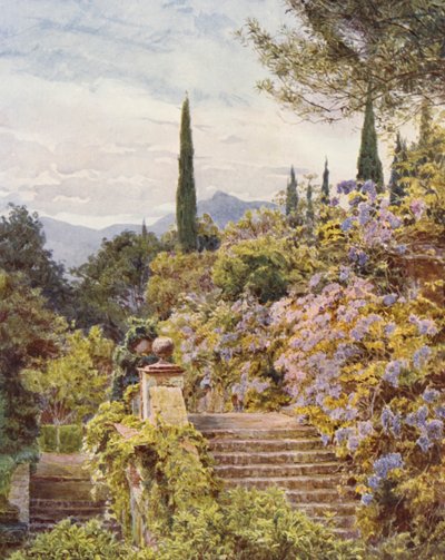 Olasz kertek: Wistaria, Villa Cavagnaro (színes litográfia) alkotó: George Samuel Elgood
