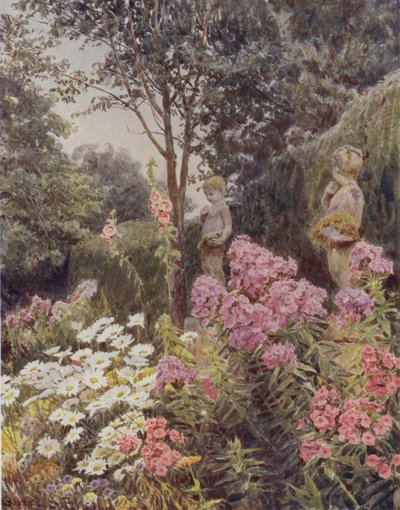 Phlox és Daisy alkotó: George Samuel Elgood