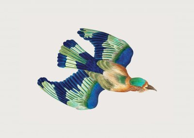 Ceyloni roller alkotó: George Shaw
