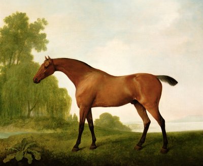 Egy öböl telivér egy tájban alkotó: George Stubbs