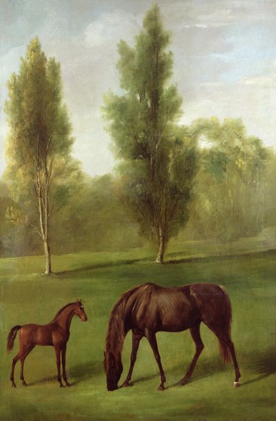 Gesztenyekanca és csikó erdős tájon, 1761-63 körül (olaj, vászon) alkotó: George Stubbs