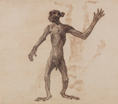 Az emberi test felépítésének összehasonlító anatómiai bemutatása a tigris és a közönséges szárnyas testével:  Álló majom, elülső nézet alkotó: George Stubbs