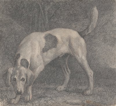Egy rókakutya az illatban alkotó: George Stubbs