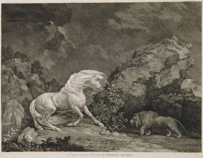 Oroszlántól megrémült ló, a művész által metszett alkotó: George Stubbs