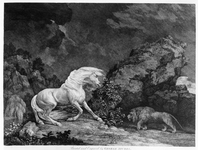 Oroszlántól megrémült ló, a művész által metszett, 1777 alkotó: George Stubbs