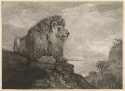 Egy oroszlán [Egy oroszlán pihen egy sziklán] alkotó: George Stubbs