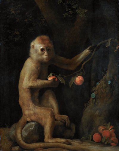 Egy majom alkotó: George Stubbs