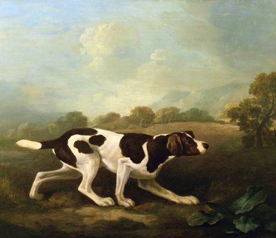 Mutató (olaj, vászon) (a párért lásd: 266117) alkotó: George Stubbs