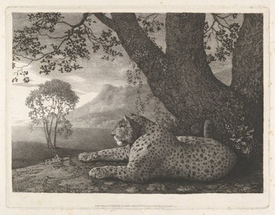 Egy tigris (egy fa mellett fekvő leopárd) alkotó: George Stubbs