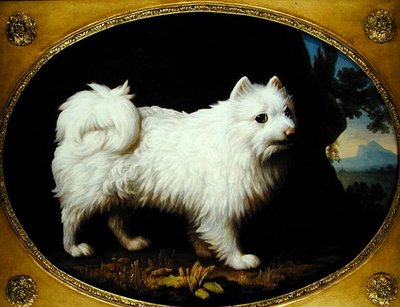 Fehér Spitz, 1770 körül (olaj zománcozott porcelánra) alkotó: George Stubbs