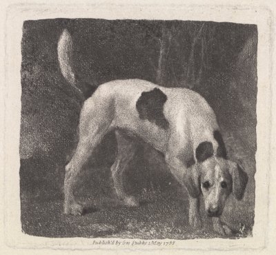 Kutya [Rókakutya az illaton] alkotó: George Stubbs