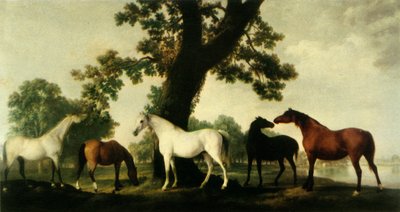 "Öt kanca a Duke of Cumberland ménesében a Windsor Great Parkban", 1765, 1944. alkotó: George Stubbs