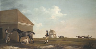 Gimcrack a Newmarket Heath-en, edzővel, istállófiúval és zsokéval, 1765 alkotó: George Stubbs