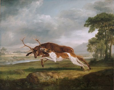 Egy szarvast üldöző kutya alkotó: George Stubbs