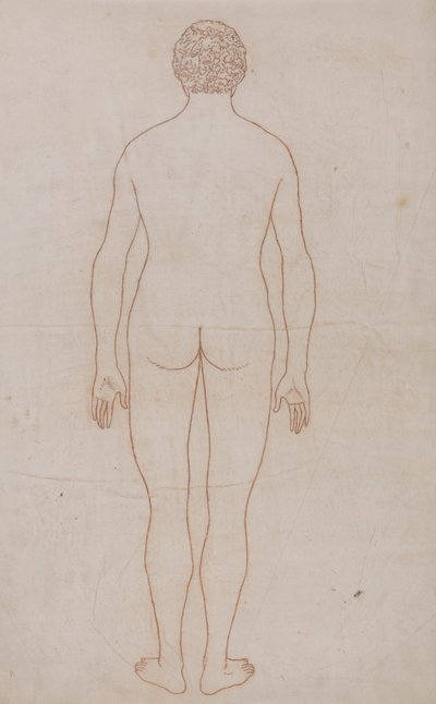 Emberi test, hátulnézet (a VII. táblázat vázlatos rajza) alkotó: George Stubbs