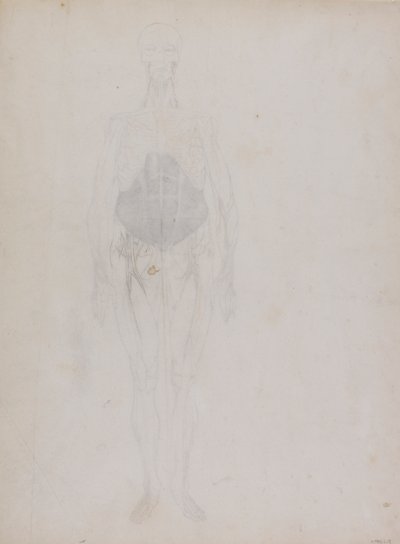 Emberalak, elölnézet (nagyrészt körvonalban) alkotó: George Stubbs