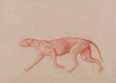 Leopárd test, oldalnézet (egy másik nagy macskáról készült öt tanulmány közül az első) alkotó: George Stubbs