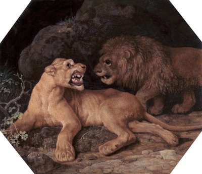 Oroszlán és oroszlán, 1770. alkotó: George Stubbs