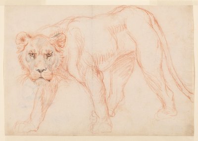 Oroszlánlopó, recto, 18. vagy 19. század alkotó: George Stubbs