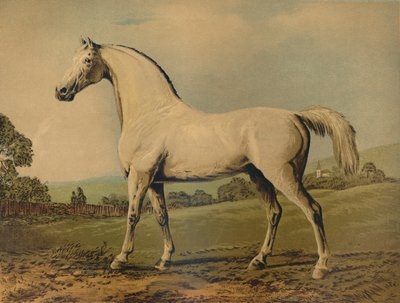 Mambrino. Lord Grosvenor tenyésztette, 1770-es évek, 1879 körül. alkotó: George Stubbs