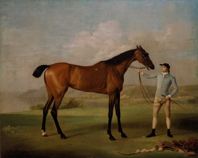 Molly Hosszúlábú a zsokéjával alkotó: George Stubbs
