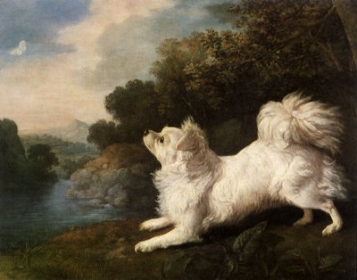 Cosway festő spánielje, aki pillangót üldöz, 1775 alkotó: George Stubbs
