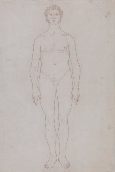 Az emberi alak tanulmányozása, elölnézet (Vázlati rajz a VI. táblázathoz) alkotó: George Stubbs