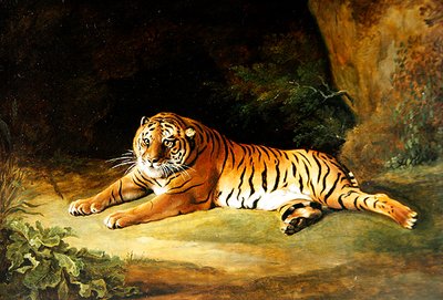 Tigris (olaj, vászon) alkotó: George Stubbs